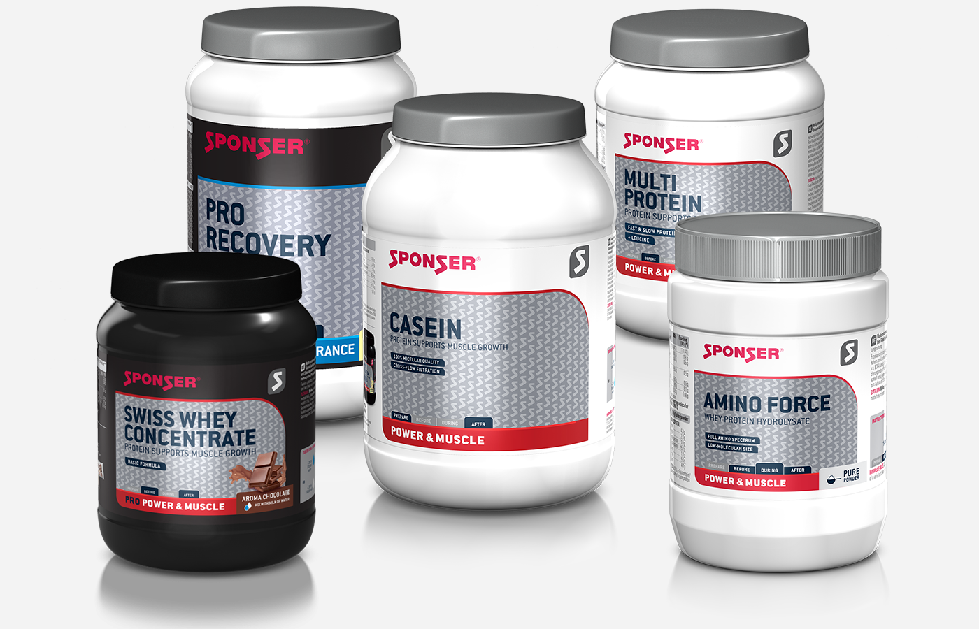 Precision plus protein kaleidoscope standards